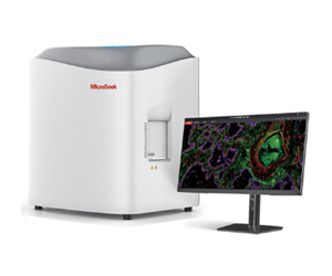 全景成像与信号解析